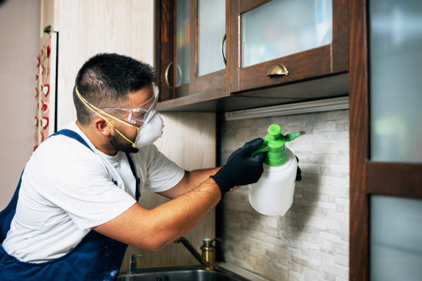Best Cockroach Control Services  in Carlisle Rockledge, AL