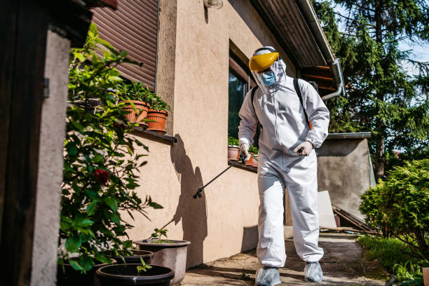 Best Termite Control Services  in Carlisle Rockledge, AL
