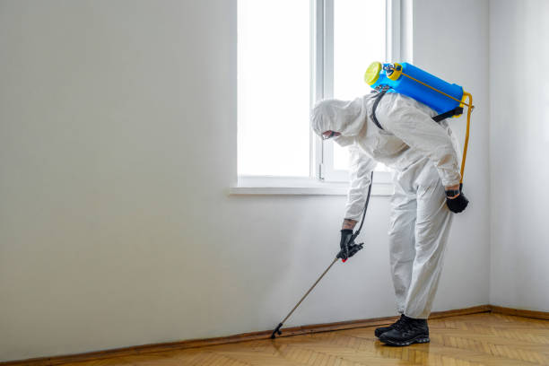 Best Residential Pest Control  in Carlisle Rockledge, AL