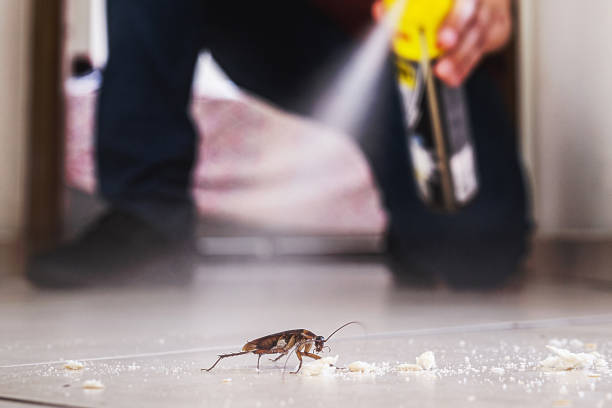 Best Affordable Pest Control Services  in Carlisle Rockledge, AL